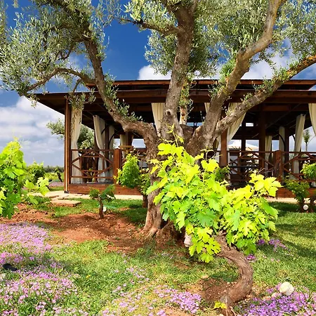 Chateau Roslane Boutique Hotel & Spa-3